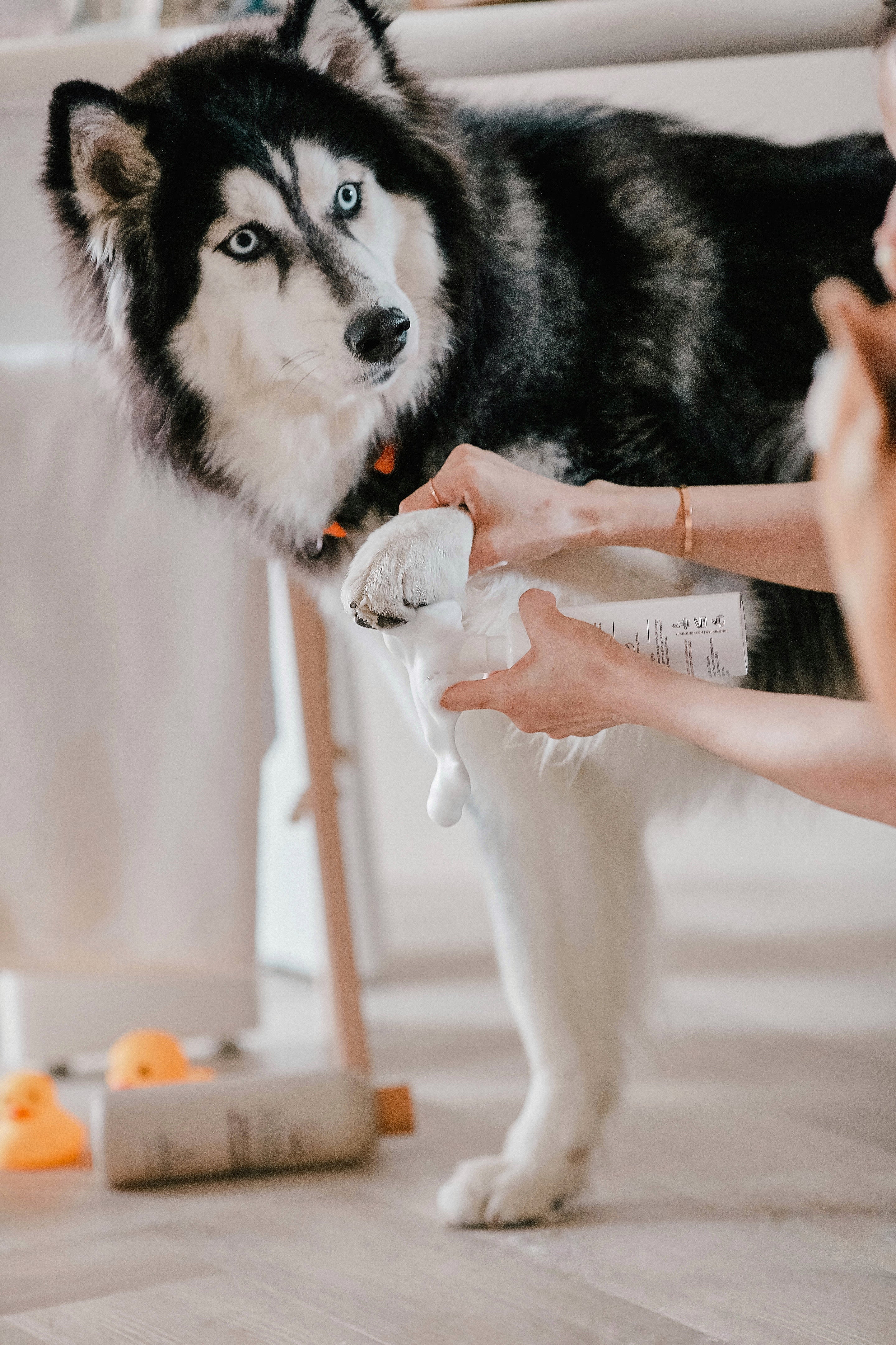 Amino Acid Paw Cleanser - Refill Pouch