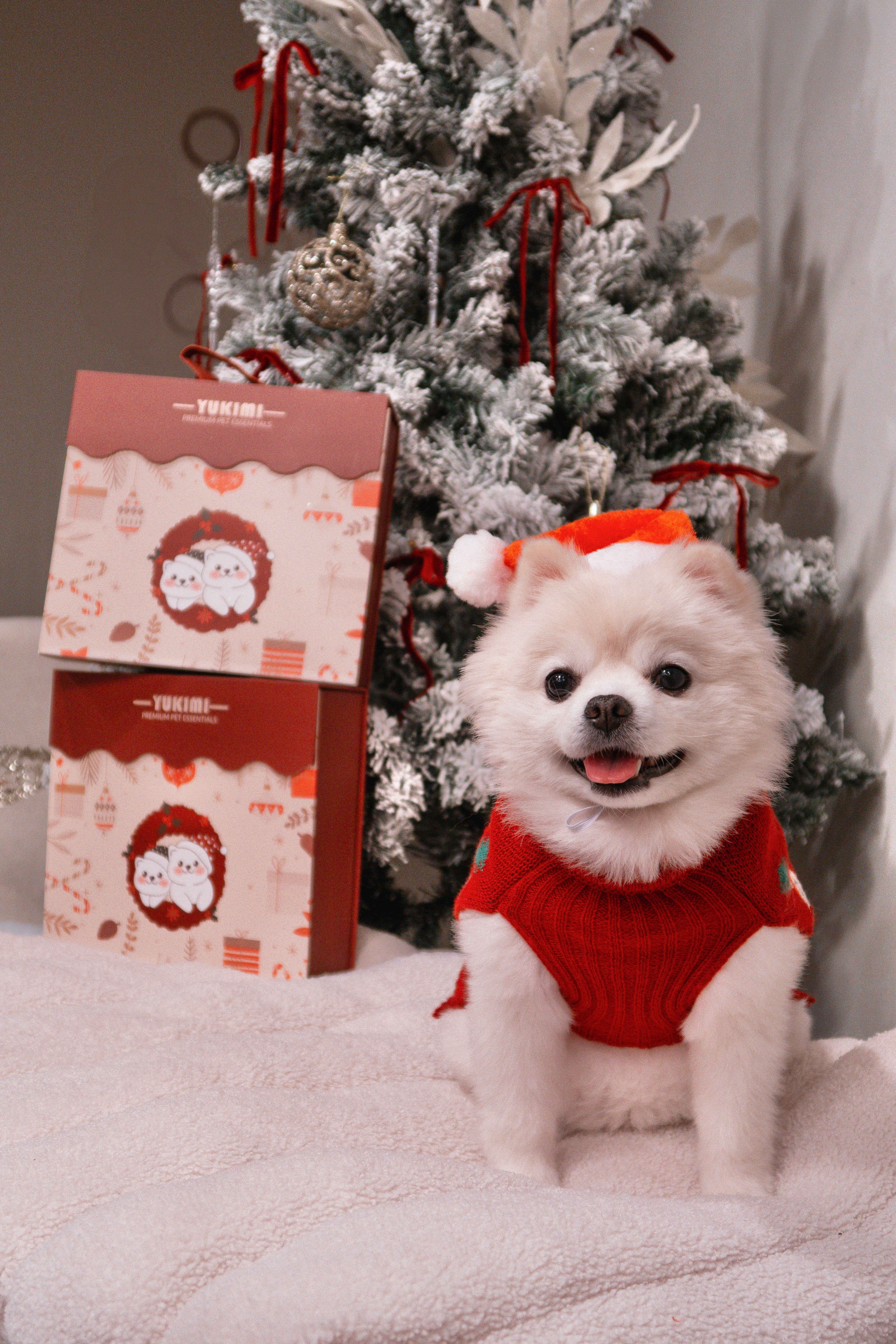 Holiday Collection Gift Box