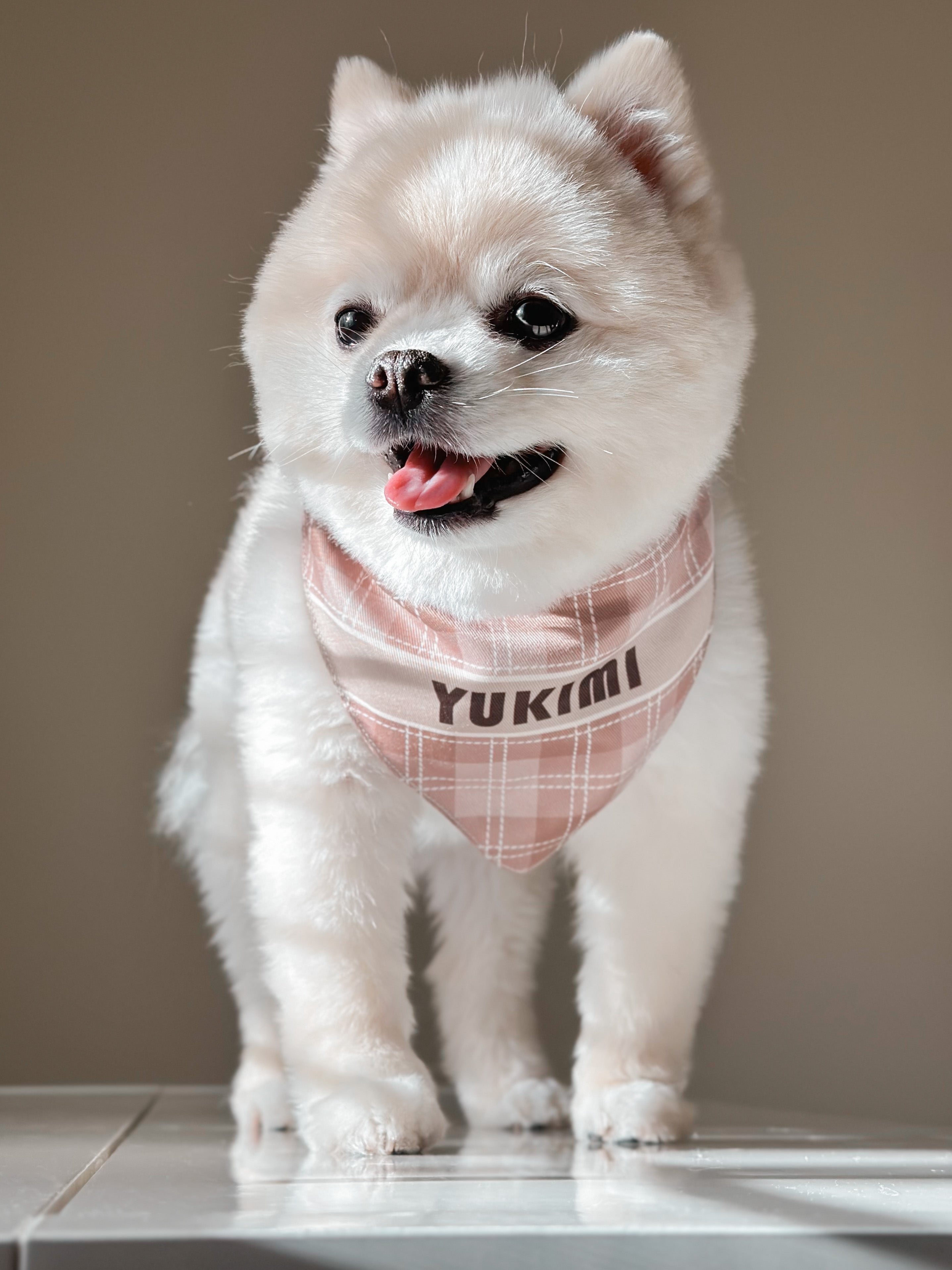Satin Bandana