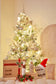 Luxury Christmas Set