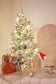 Deluxe Christmas Set